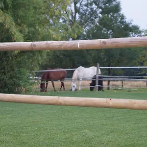 De La Jument Grise Lescheroux